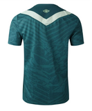 Chapecoense shirt