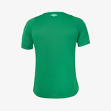 Chapecoense Thuisshirt 2025 - Voetbalshirt Brazilië