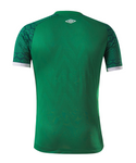 Chapecoense Thuisshirt 2022 - Voetbalshirt Brazilië